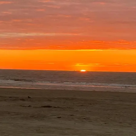 Appartement In Near The *