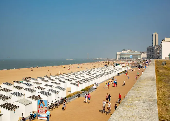 In Near The Appartement