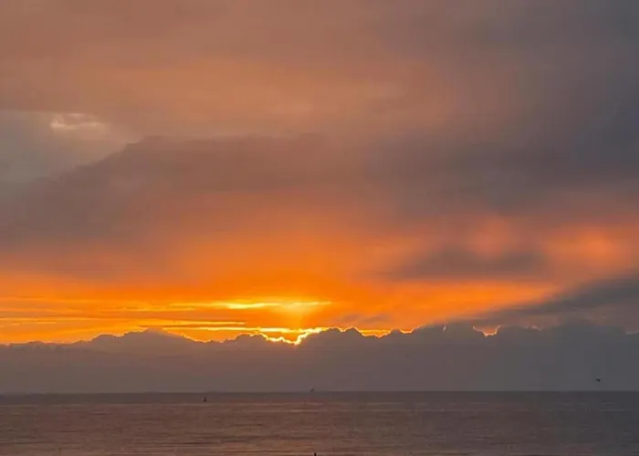 Apartment In Near The Ostend